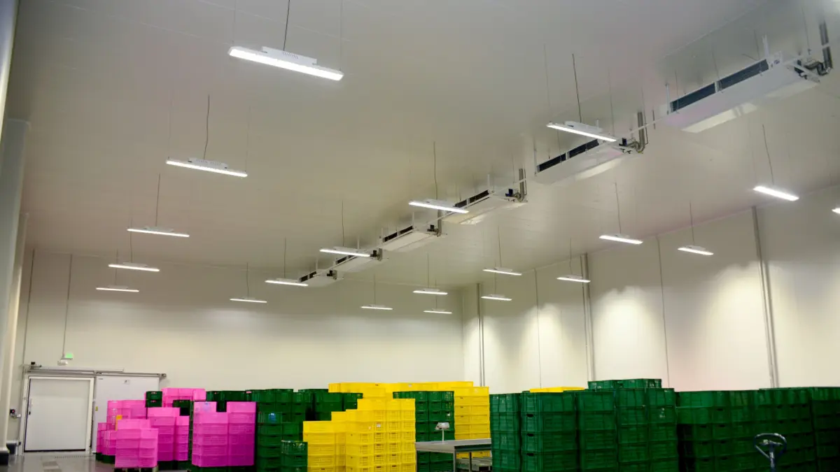 DOLE COLOMBIA CUNDINAMARCA MONOROOF MONOWAL FRIGOWALL LAMINA GRECADA 2019 5