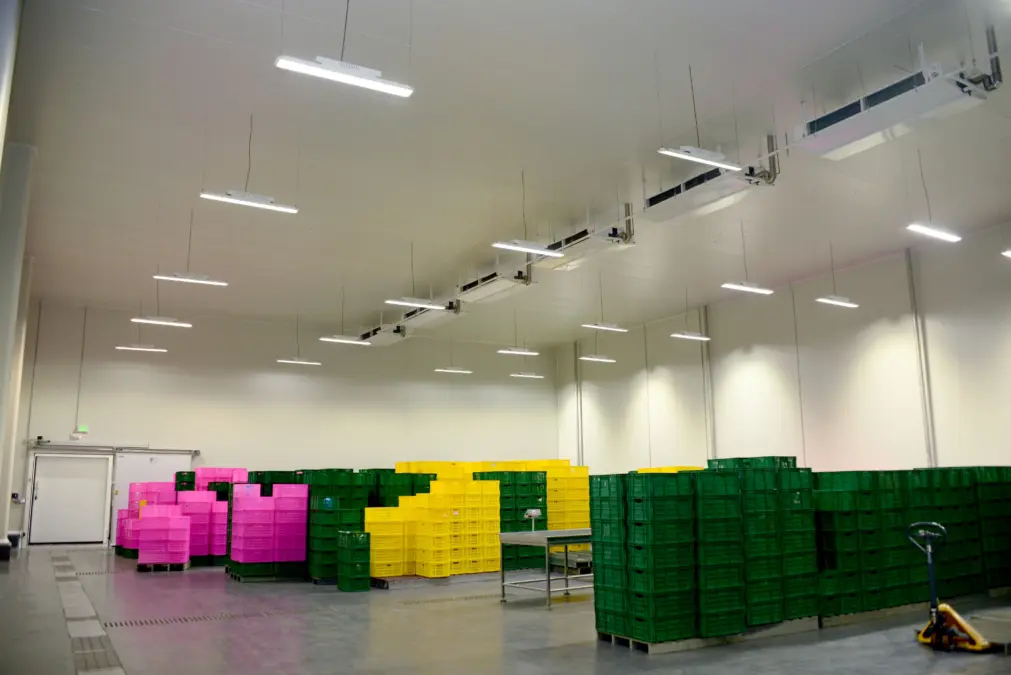 DOLE COLOMBIA CUNDINAMARCA MONOROOF MONOWAL FRIGOWALL LAMINA GRECADA 2019 5