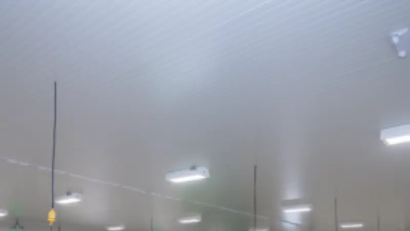 POLIURETANO EN CADENA DE FRÍ O 300x300 1